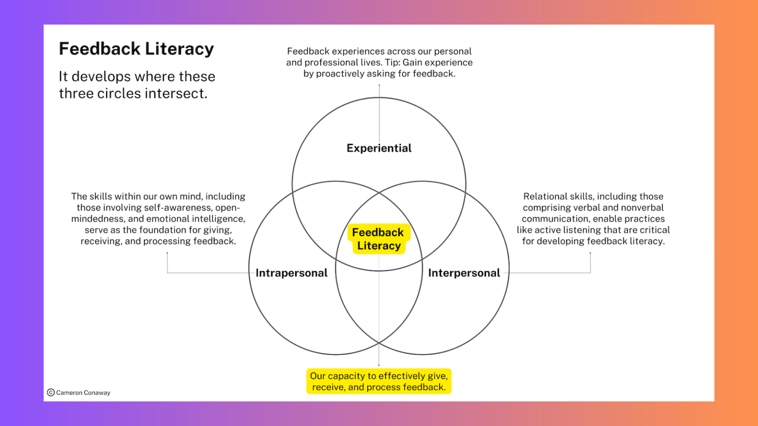 Feedback Literacy Diagram