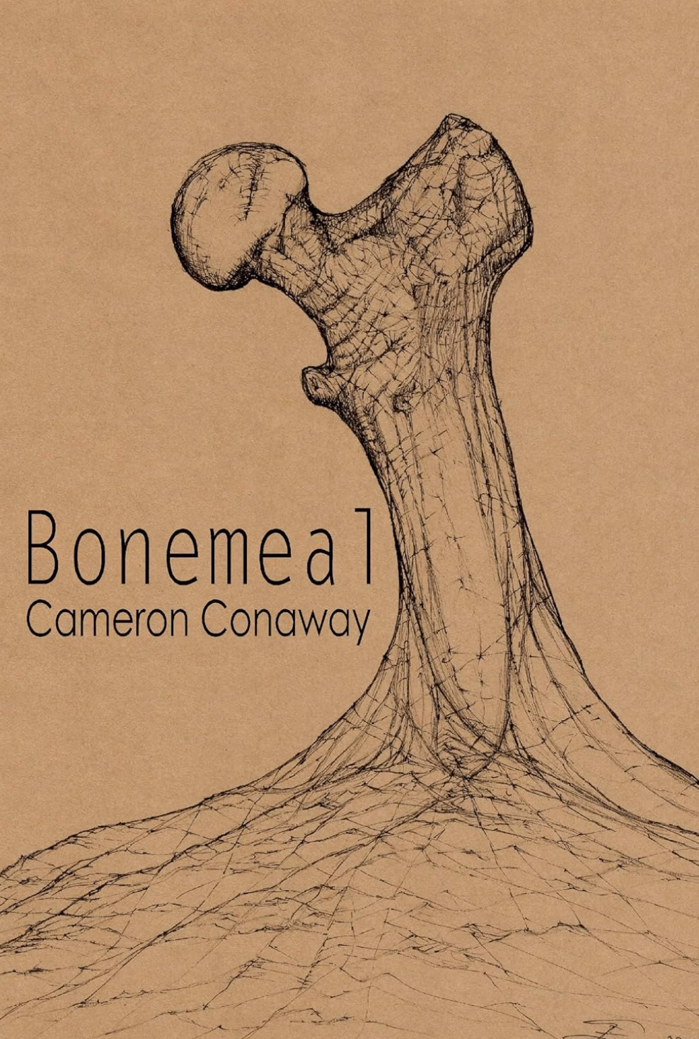 Bonemeal